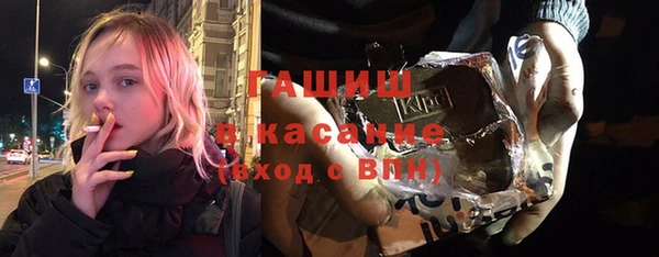 индика Алексин