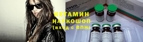 индика Алексин