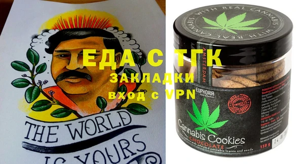 индика Алексин