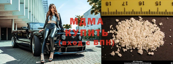 индика Алексин