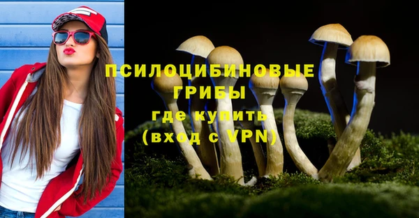 молекула духа Алзамай