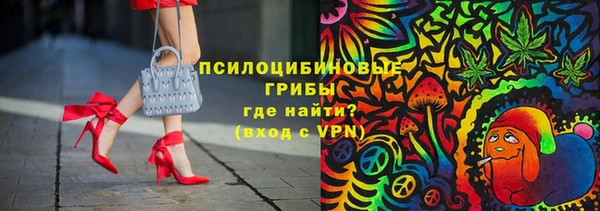 молекула духа Алзамай