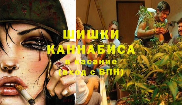 молекула духа Алзамай