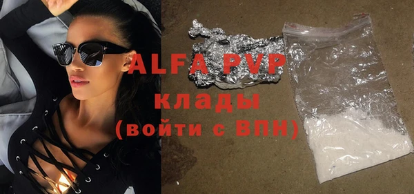 индика Алексин