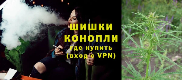 молекула духа Алзамай