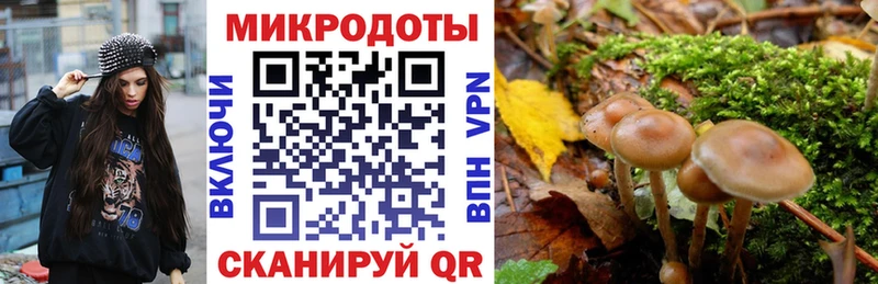 Псилоцибиновые грибы Psilocybine cubensis хочу Удачный